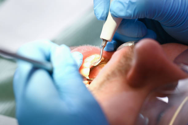 Best Cosmetic Emergency Dentistry in Vinco, PA